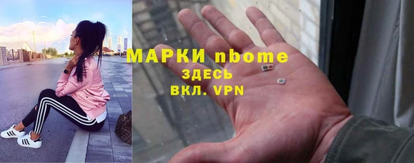 дурь Инсар
