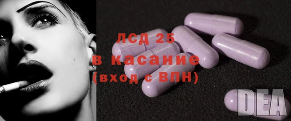 дурь Инсар