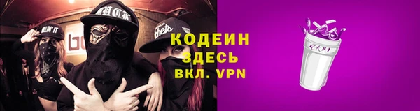дурь Инсар