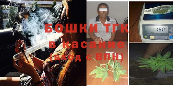дурь Инсар