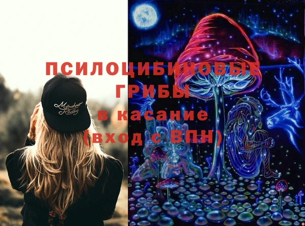дурь Инсар