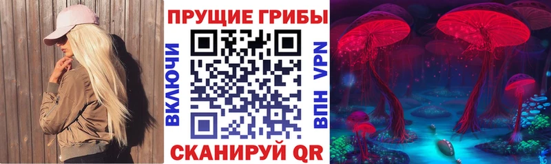 Купить где  Глазов  Галлюциногенные грибы мухоморы 